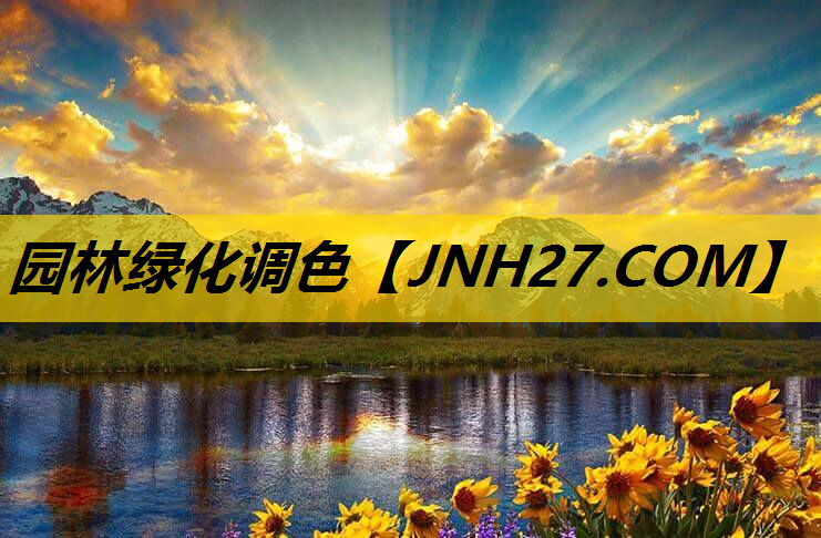 园林绿化调色