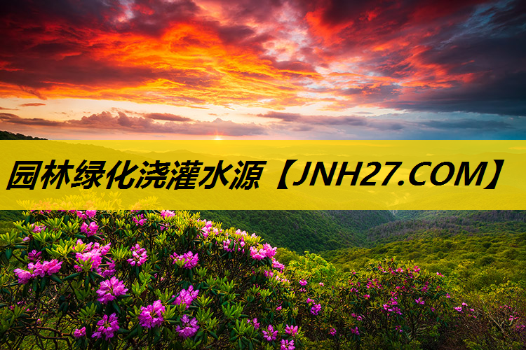 园林绿化浇灌水源