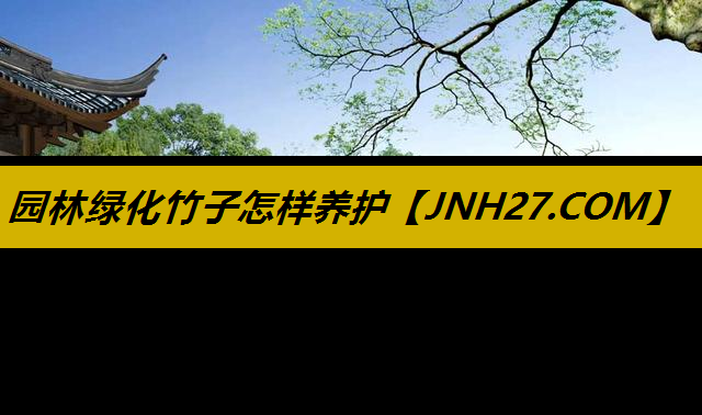 园林绿化竹子怎样养护
