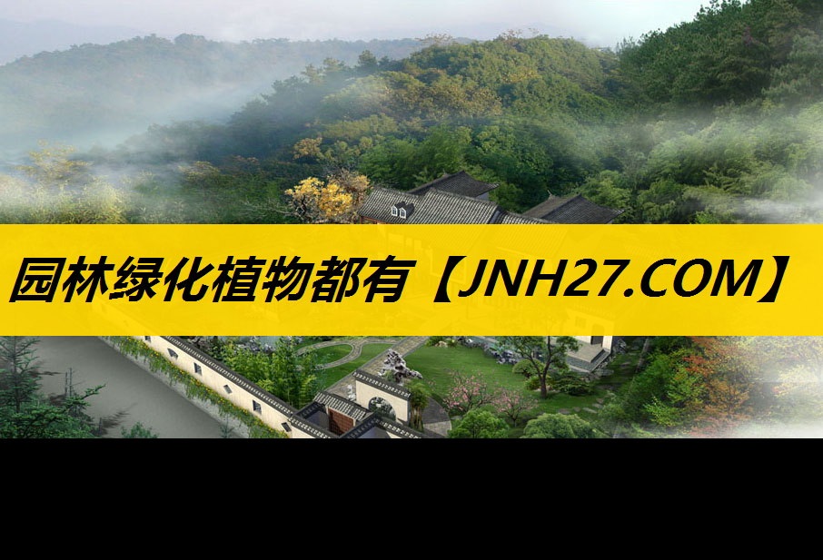 园林绿化植物都有