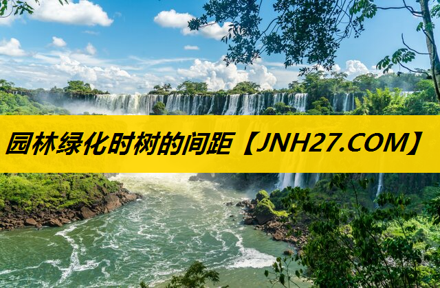 园林绿化时树的间距