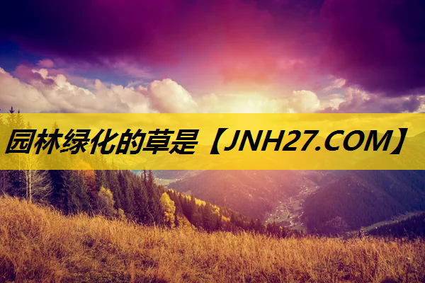 园林绿化的草是