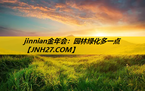 园林绿化多一点