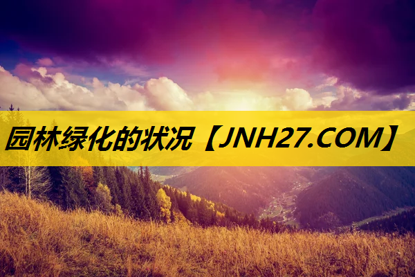园林绿化的状况