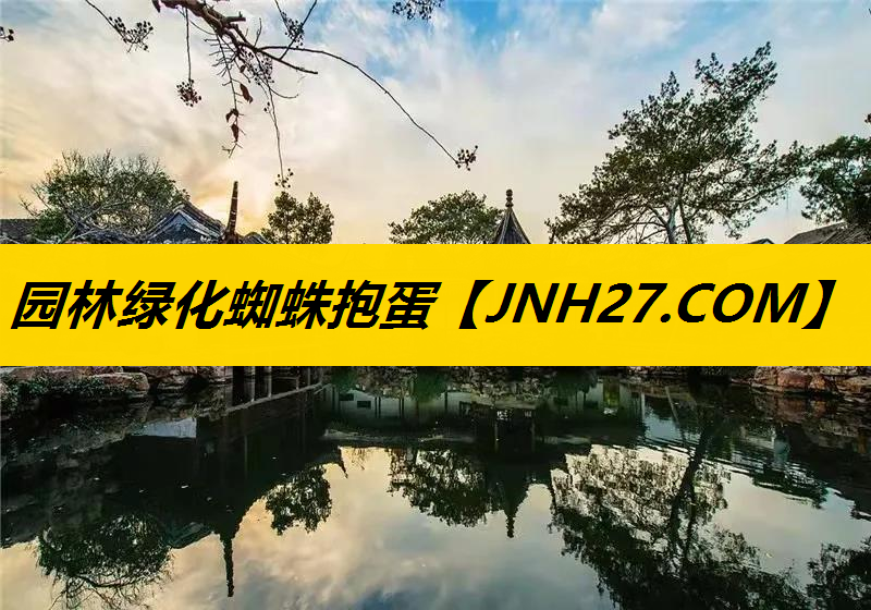 园林绿化蜘蛛抱蛋