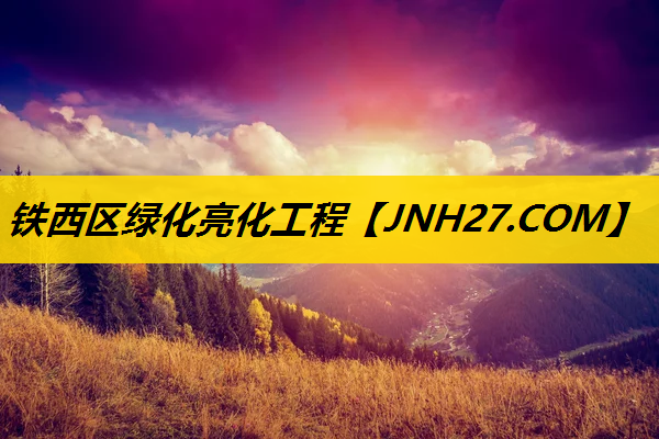 铁西区绿化亮化工程