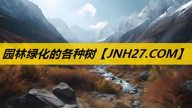园林绿化的各种树