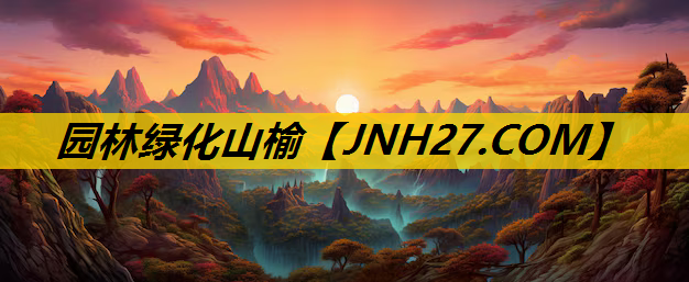 园林绿化山榆