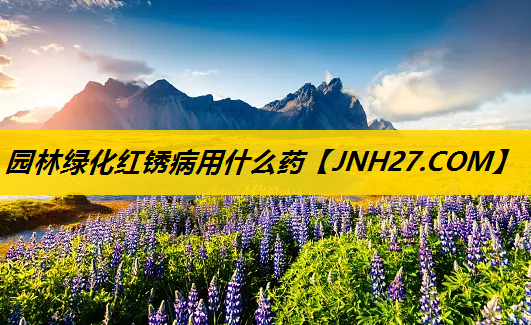 园林绿化红锈病用什么药